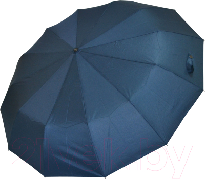 Зонт складной Mizu RS-12/58 (синий)