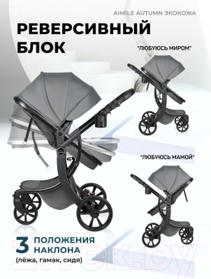 Детская универсальная коляска Aimile Original Autumn 2 в 1 / AA-8 (темно-серый)