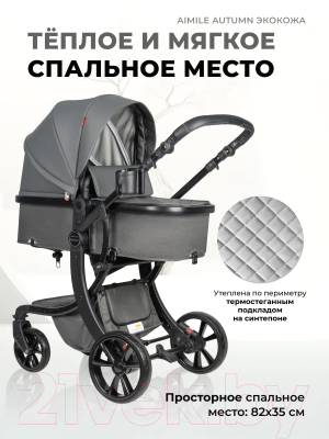 Детская универсальная коляска Aimile Original Autumn 2 в 1 / AA-8 (темно-серый)