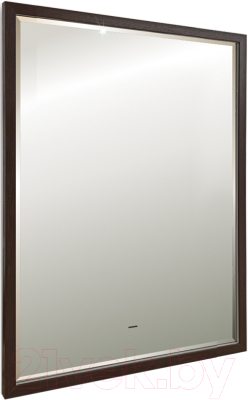 Зеркало Silver Mirrors Эдисон 65x90 / LED-00002722