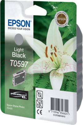 Картридж Epson C13T05974010 - общий вид