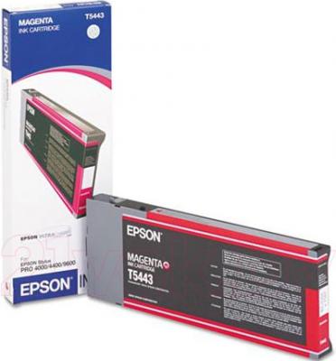 Картридж Epson C13T544300 - общий вид