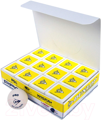 Набор мячей для сквоша DUNLOP White Pro / 627DN700118T