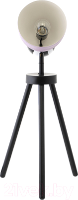 Прикроватная лампа Bergenson Bjorn Anniken / BB0000181 (черный/белый/лиловый)