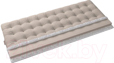 Купить Матрас Mr. Mattress Kishi 120x195 в Молодечно