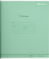 Набор тетрадей Schoolformat ТШКЛ12-ПЗЛ-НМП (20шт, пастельный зеленый) - 