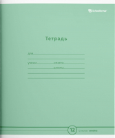 Набор тетрадей Schoolformat ТШЛ12-ПЗЛ-НМП (20шт, пастельный зеленый) - 
