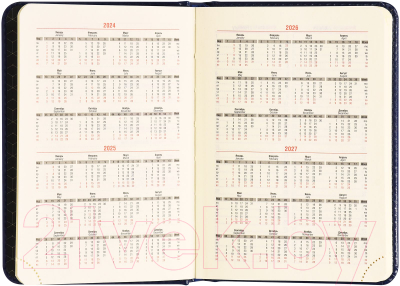 Ежедневник inФормат Идея / IFDN-IDA6/BL (160л, синий)