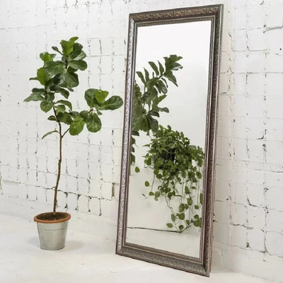 Зеркало Silver Mirrors Эфес 60x120 / ФР-00000918 -