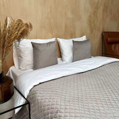 Набор текстиля для спальни Pasionaria Бархат+ 230x240 с наволочками (светло-серый)