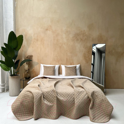 Набор текстиля для спальни Pasionaria Бархат+ 230x240 с наволочками (бежевый)
