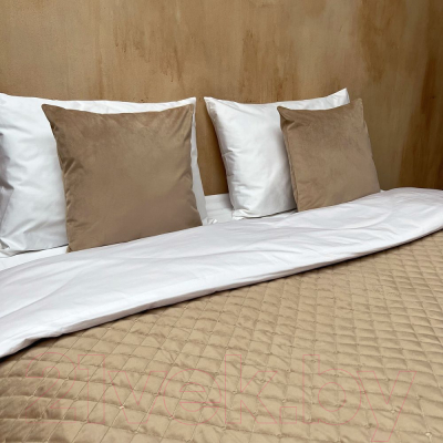 Набор текстиля для спальни Pasionaria Бархат+ 230x240 с наволочками (бежевый)