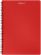 Тетрадь inФормат IFNGR-120-R (120л, красный) - 