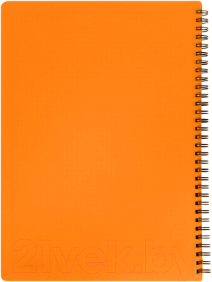Тетрадь inФормат IFNGR-120-O (120л, оранжевый)