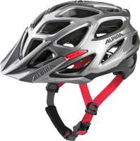 Защитный шлем Alpina Sports Thunder 3.0 / A9778-39 (р-р 57-62, серебристый/черный/красный) - 