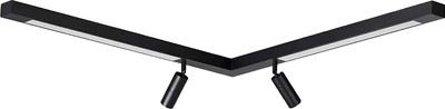 Спот Lumion Hawk 5690/19CL -