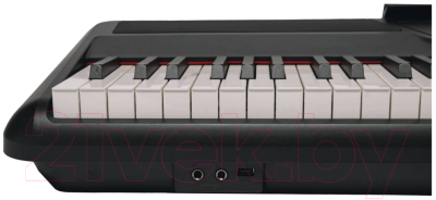 Цифровое фортепиано Aramius API-130 MBK