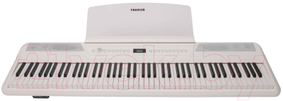 Цифровое фортепиано Aramius API-130 MWH