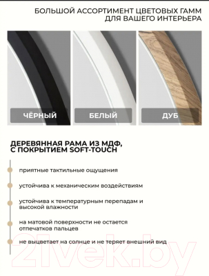 Зеркало Emze Color Oval 52x118 / COLOR.52.118.CHE (черный)