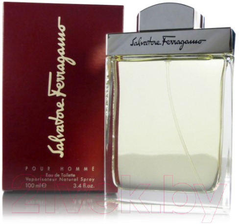 Туалетная вода Salvatore Ferragamo Salvatore Ferragamo Pour Homme