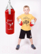 Миниатюра изображения товара Бокс детский Absolute Champion Я-Чемпион 6кг груша + перчатки (красный)