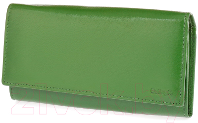 Портмоне Bellugio AD-119R-402 (зеленый)