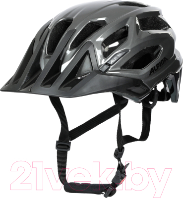 Защитный шлем Alpina Sports Garbanzo / A9700-22 (р-р 57-61, серебристый)