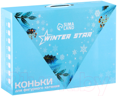 Коньки фигурные Winter Star С мехом / 9670693 (р.36)