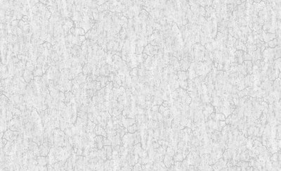 Виниловые обои Erismann Nevada 60689-06 - 