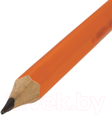 Набор простых карандашей Юнландия Неончики / 880436 (100шт)