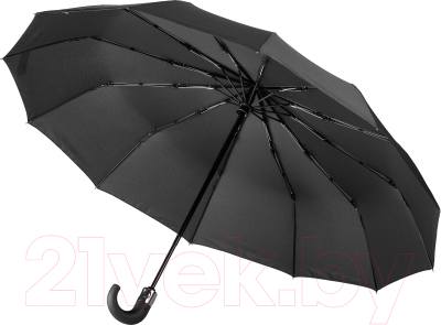 Зонт складной Mizu RS-12/58J (черный)