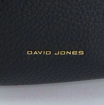 Рюкзак David Jones 823-CM6765-BLK (черный)