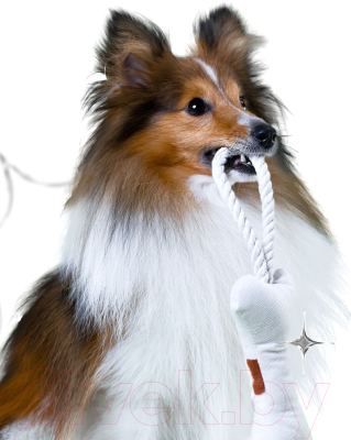 Игрушка для собак Mr. Kranch Косточка с канатом / MKR80247 (бежево-пятнистый)