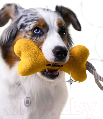 Игрушка для собак Mr. Kranch Косточка с канатом / MKR80253 (желтый)