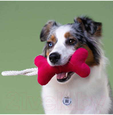 Игрушка для собак Mr. Kranch Косточка с канатом / MKR80251 (ярко-розовый)