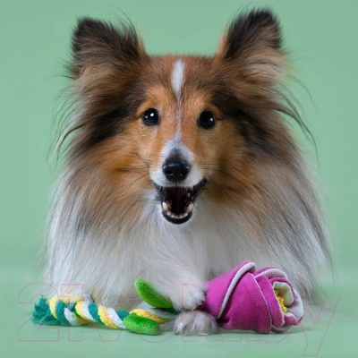 Игрушка для собак Mr. Kranch Роза с канатом / MKR80264 (розовый)