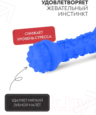 Игрушка для собак Mr. Kranch Гантель / MKR000024 (с ароматом курицы, синий)