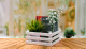 Миниатюра изображения товара Ящик декоративный Polini Kids Home Boxy / 0003158-04 (белый)