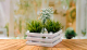 Миниатюра изображения товара Ящик декоративный Polini Kids Home Boxy / 0003158-04 (белый)