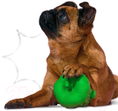 Игрушка для собак Mr. Kranch Яблоко с пищалкой / MKR000402 (с ароматом курицы, зеленый)