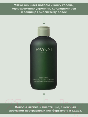 Изображение товара Шампунь для волос Payot Essentiel Gentle Biome-Friendly Shampoo (280мл)