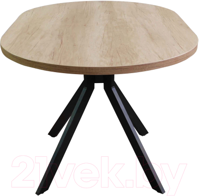 Обеденный стол Васанти Плюс Дорн-1 120-160x80 (дуб небраска натуральный/черный)
