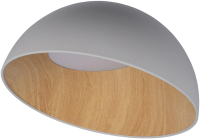 Потолочный светильник Loftit Egg 10197/500 (серый) - 