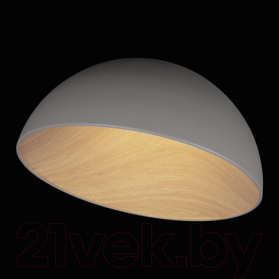 Потолочный светильник Loftit Egg 10197/500 (серый)