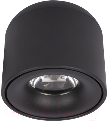 Потолочный светильник Loftit Tictac 3000K / 10219 (черный)