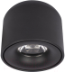 Потолочный светильник Loftit Tictac 3000K / 10219 (черный) - 