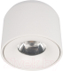 Потолочный светильник Loftit Tictac 3000K / 10219 (белый) - 