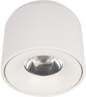 Потолочный светильник Loftit Tictac 4000K / 10219 (белый) - 
