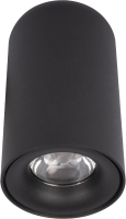 Потолочный светильник Loftit Tictac 4000K / 10220 (черный) - 