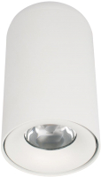 Потолочный светильник Loftit Tictac 3000K / 10220 (белый) - 